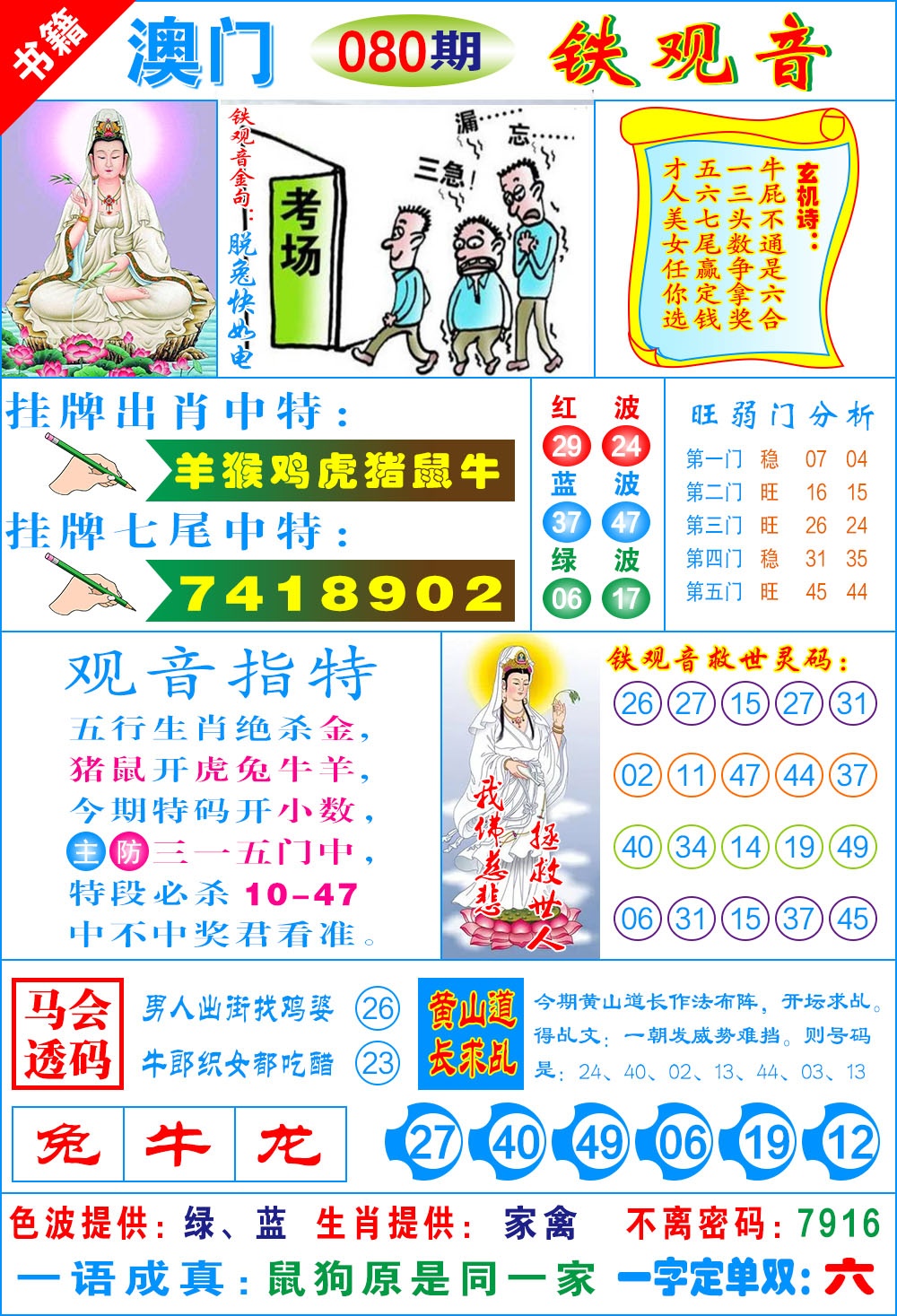 080期澳门铁观音[图]