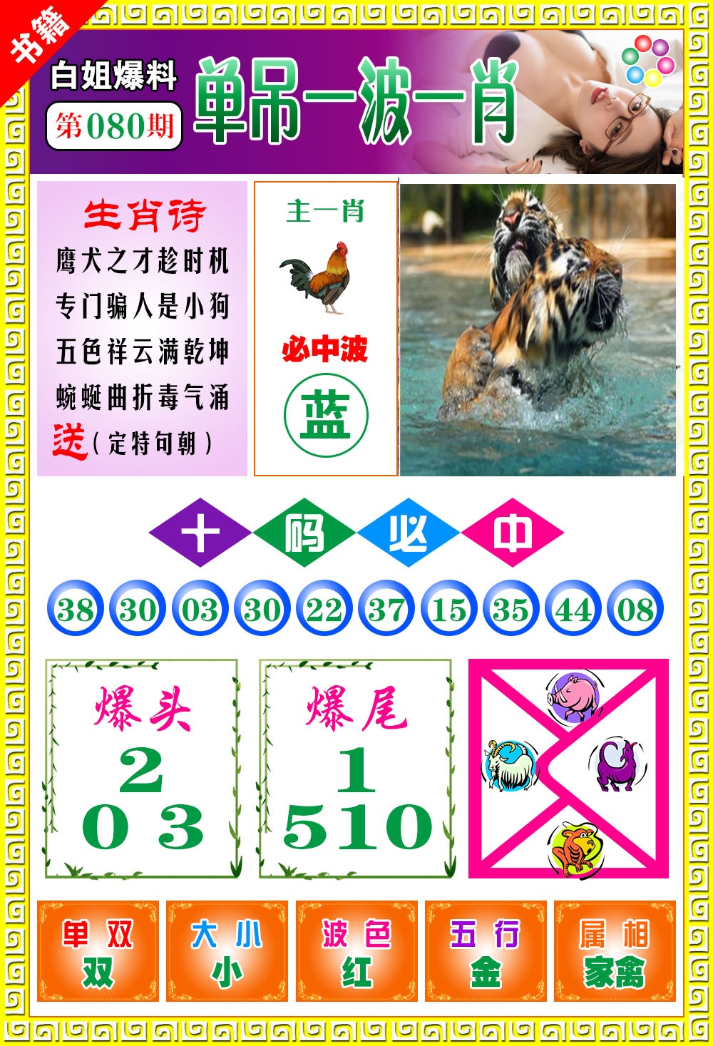 080期澳门白姐暴肖[图]